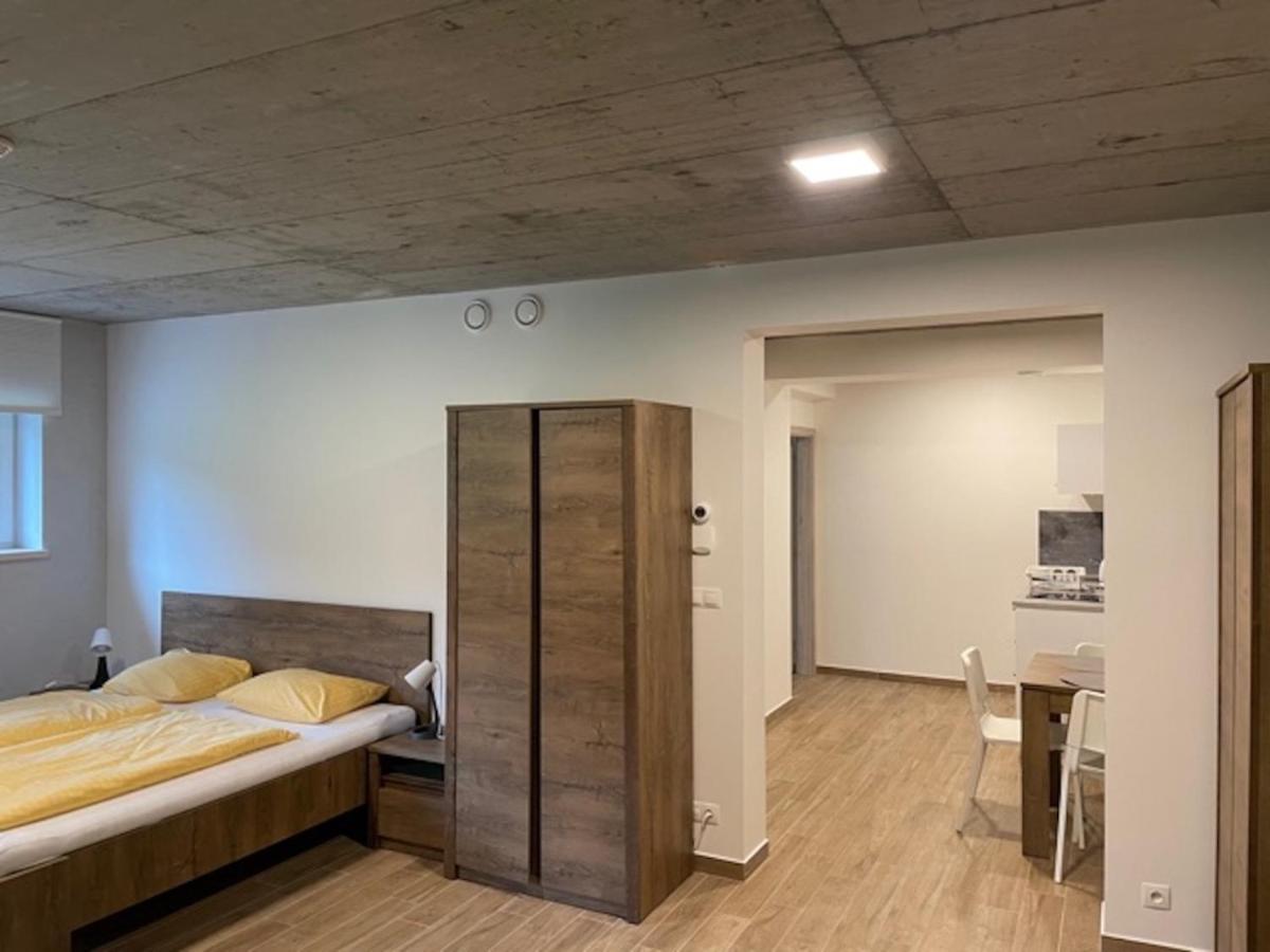 Bedřichov Apartmany Bila Nisa מראה חיצוני תמונה